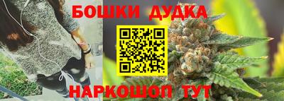 индика Жуковский