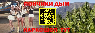 индика Жуковский