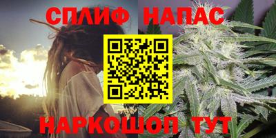 индика Жуковский