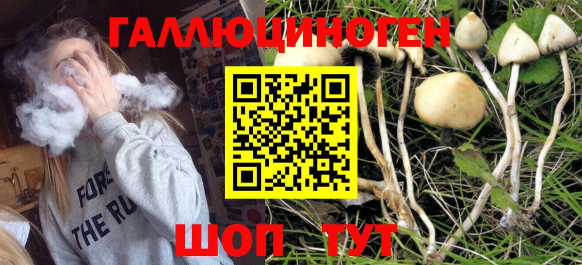 Галлюциногенные грибы GOLDEN TEACHER  Вход с VPN  Моздок 