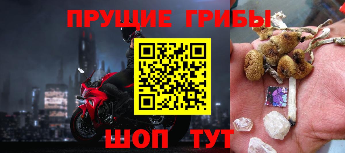 Псилоцибиновые грибы мицелий Моздок